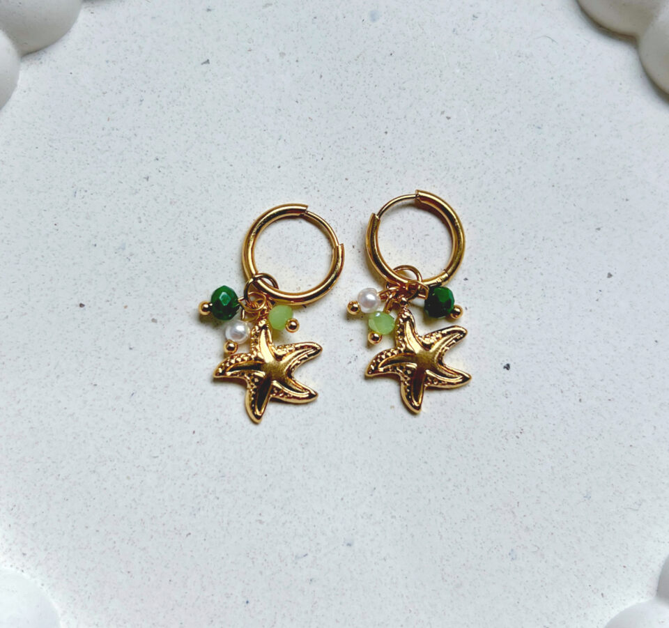 עגילי נרינה